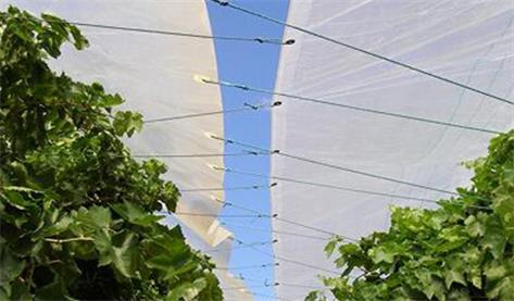Analysis of the use of rainproof tarpaulin