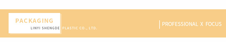 professional x focus