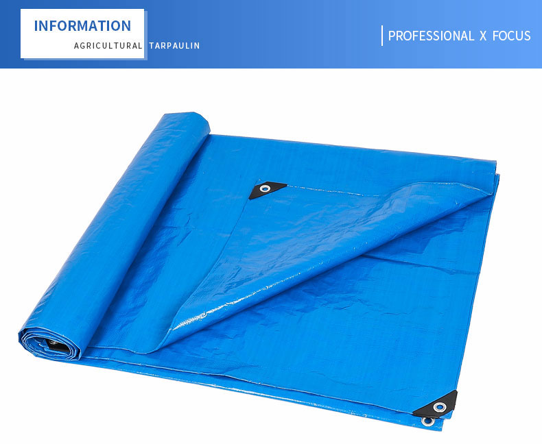 professional x focus