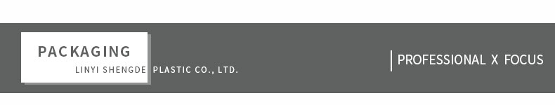 professional x focus