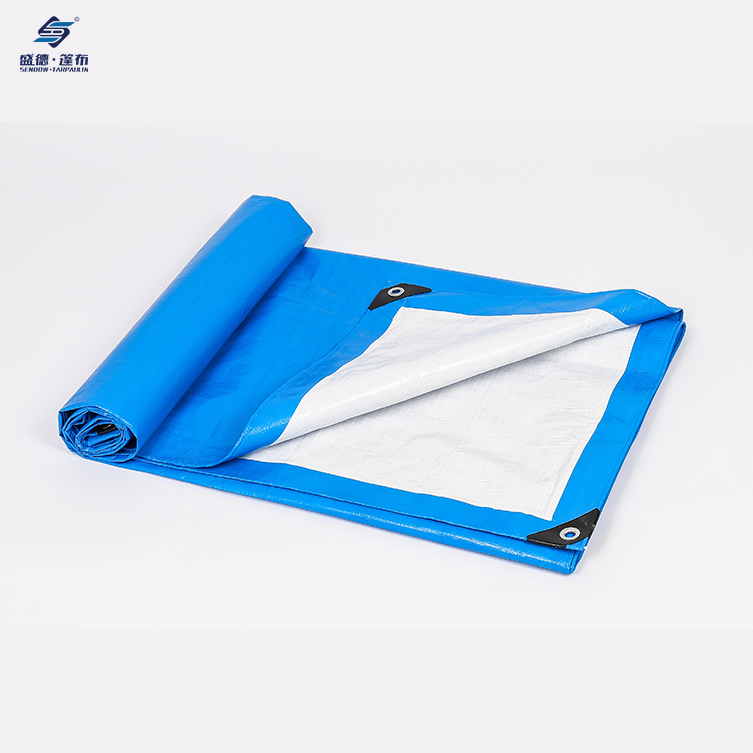 Blue/White Waterproof Heavy Duty PE Tarpaulin