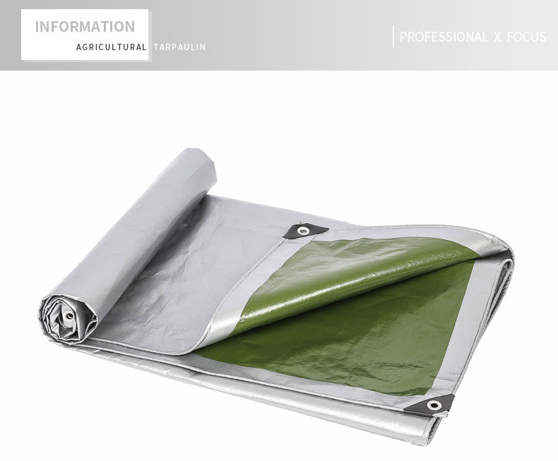 professional x focus