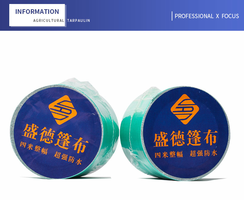 professional x focus