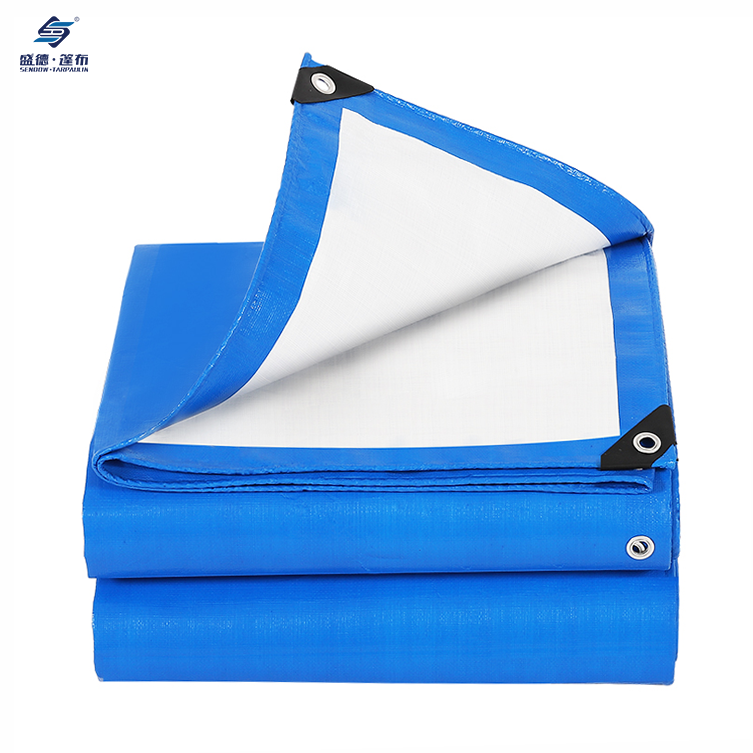 Blue/White Waterproof Heavy Duty PE Tarpaulin