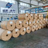 Plastic Wholesale Waterproof PE Tarpaulin in Sheet/Roll