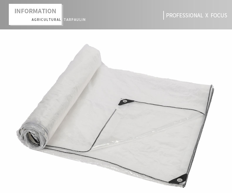 professional x focus