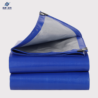 Blue/Silver Waterproof Heavy Duty PE Tarpaulin